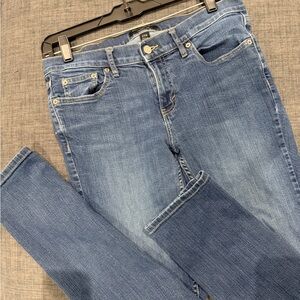 Banana Republic Women's Classic Blue Girlfriend Skinny Jeans